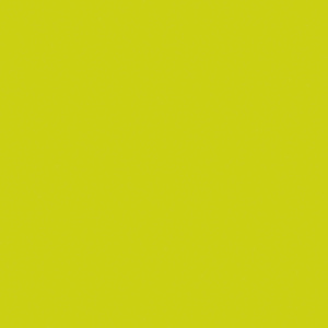 Duni Servietten kiwi, 24 x 24 cm, 20 St