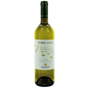 Terre Alte Merlot Bianco Ticino DOC, 75 cl Terre Alte Merlot Bianco Ticino DOC, 75 cl