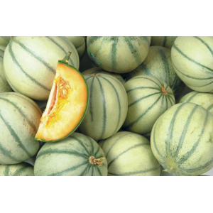 Melonen Charentais, 5 St Melonen Charentais, 5 St