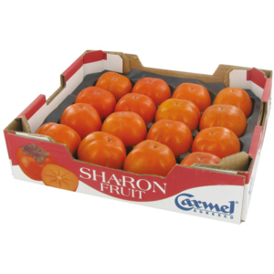 Sharon Kaki, 16 St Sharon Kaki, 16 St