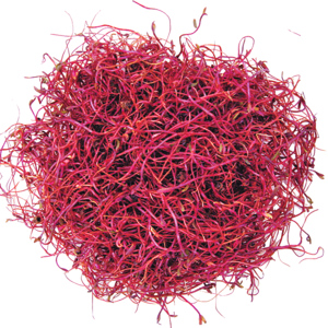 Randensprossen, 100 g Randensprossen, 100 g