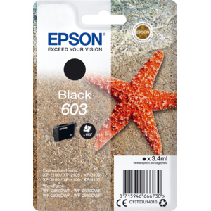Epson Tinte 603 schwarz  XP-2100