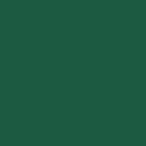 Duni Servietten grün, 3-lagig, 33 x 33 cm, 50 St Duni Servietten grün, 3-lagig, 33 x 33 cm, 50 St