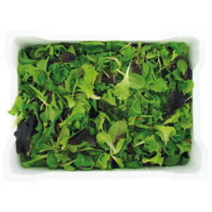 Schnittsalat Oriental, 800 g