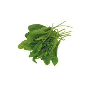 Sauerampfer, 250 g