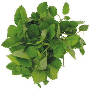 Zitronenmelisse, 250 g