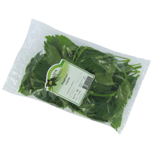 Maggikraut/Liebstöckel, Beutel zu 50 g netto