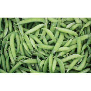 Erbsen, ca. 500 g