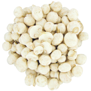 Perlchampignons weiss, frisch, 1 kg
