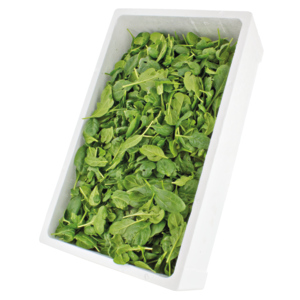 Salat-Spinat, 1 kg Salat-Spinat, 1 kg