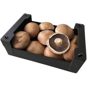 Portobello, 1kg Portobello, 1kg