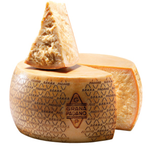 Grana Padano Hartkäse, 1/1 Laib ca. 30 kg Grana Padano Hartkäse, 1/1 Laib ca. 30 kg