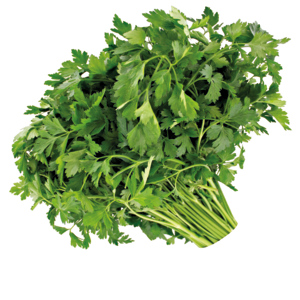 Petersilie Liscio, 3 kg Petersilie Liscio, 3 kg
