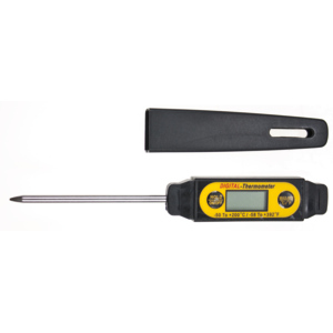 Thermometer Digital