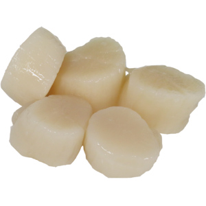 MSC Jap. Kammmuschelfleisch, ohne Rogen, 10/20, tiefgekühlt, 1 kg MSC Jap. Kammmuschelfleisch, ohne Rogen, 10/20, tiefgekühlt, 1 kg