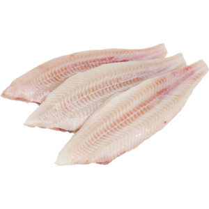 MSC Maischolle, ganz, küchenfertig, 200 - 300 g, ca. 1 kg