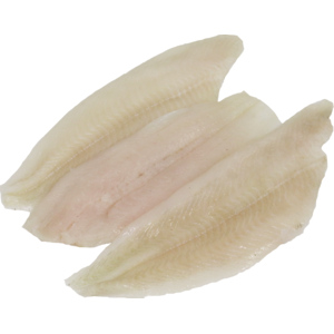 Quality MSC Heilbutt Filet, ohne Haut, ca. 100 - 400 g, ca. 1.5 kg