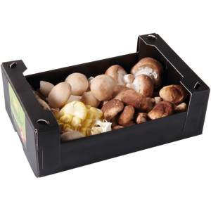 Premium Mischpilze 5 Sorten, frisch, 700 g Premium Mischpilze 5 Sorten, frisch, 700 g