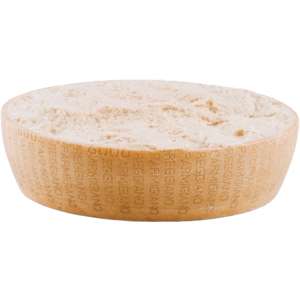 Parmigiano Reggiano, AOP, 1/2 Laib ca. 19 kg Parmigiano Reggiano, AOP, 1/2 Laib ca. 19 kg