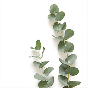 Atelier Servietten Elegant Green 25 x 25 cm 20 Stück