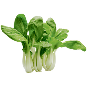 Pak-Choi, Chinesischer Senfkohl, 5 kg Pak-Choi, Chinesischer Senfkohl, 5 kg