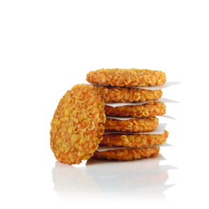 Salomon Crunchy Chik'n Burger, 90 g, Deutschland, tiefgekühlt, 4 x 1,5 kg Salomon Crunchy Chik'n Burger, 90 g, Deutschland, tiefgekühlt, 4 x 1,5 kg
