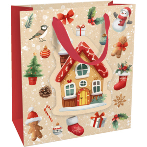 Lacktragetasche farbig 18 x 21 cm