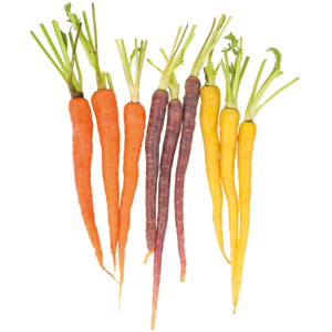 Karotten Rainbow Mini, 200 g Karotten Rainbow Mini, 200 g