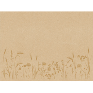 Duni Tischset Meadow Natural, Recycling Papier, 30 x 40 cm, 250 St Duni Tischset Meadow Natural, Recycling Papier, 30 x 40 cm, 250 St