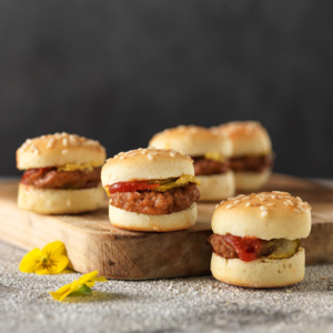 Delicool Mini Burger classic, tiefgekühlt, 48 x 20 g
