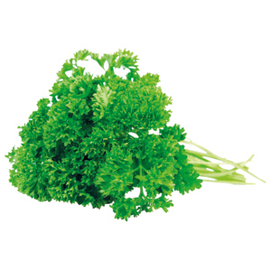 Petersilie gekraust, gepackt, 500 g