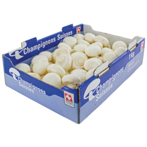 Champignons weiss, frisch, 1 kg