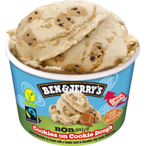Ben & Jerry's Non-Dairy Cookies on Cookie Dough, 12 x 100 ml