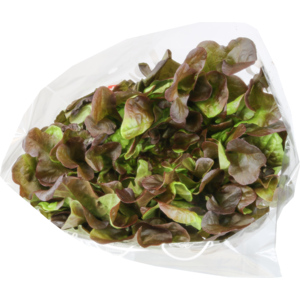 Eichblattsalat rot Hydro, einzeln, ca. 200 g Eichblattsalat rot Hydro, einzeln, ca. 200 g