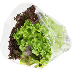 Triosalat Hydro, einzeln