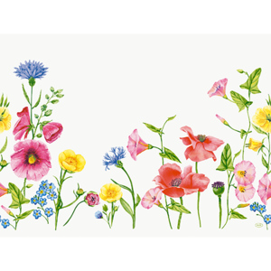 Bio Dunicel Tischset Flowy Meadow, 30 x 40 cm, 100 Stück Bio Dunicel Tischset Flowy Meadow, 30 x 40 cm, 100 Stück