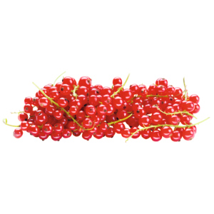 Johannisbeeren, CH, 250 g Johannisbeeren, CH, 250 g