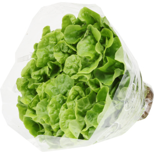Eichblattsalat grün Hydro, einzeln, ca. 200 g Eichblattsalat grün Hydro, einzeln, ca. 200 g