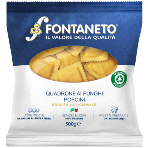 Fontaneto Fresco Quadrone Steinpilz, 500g