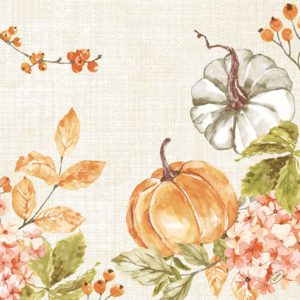 Bio Dunisoft Servietten Spicy pumpkin, 40 x 40 cm, 60 St Bio Dunisoft Servietten Spicy pumpkin, 40 x 40 cm, 60 St
