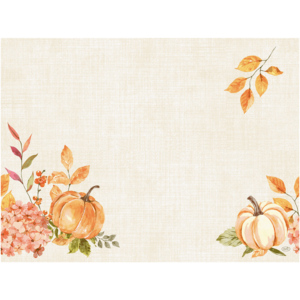 Bio Dunicel Tischset, Spicy pumpkin, 30 x 40 cm, 100 St Bio Dunicel Tischset, Spicy pumpkin, 30 x 40 cm, 100 St