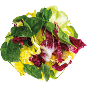 KM Mischsalat RIO Herzen, 500 g KM Mischsalat RIO Herzen, 500 g