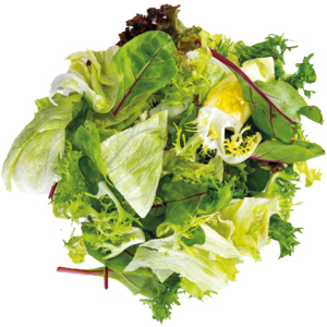 KM Bio Mischsalat Gusto 40 mm, 500 g