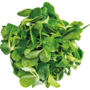 KM Bio Nüsslisalat Ganz, 500 g KM Bio Nüsslisalat Ganz, 500 g