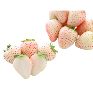 Erdbeeren weiss, 250 g
