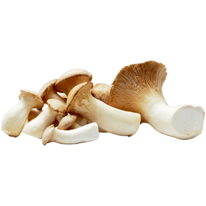 Natura Bio Kräuterseitlinge aus dem Züri Oberland, frisch, 500 g Natura Bio Kräuterseitlinge aus dem Züri Oberland, frisch, 500 g