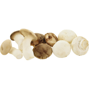 Natura Bio Mischpilze aus dem Züri Oberland, 3 Sorten Zuchtpilze, 400 g Natura Bio Mischpilze aus dem Züri Oberland, 3 Sorten Zuchtpilze, 400 g