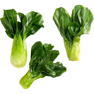 Magda Baby-Pak Choi, TK, 5 x 1 kg