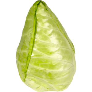 Spitzkabis, 6 kg Spitzkabis, 6 kg