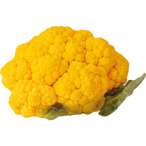 Blumenkohl orange, ca. 6.5 kg Blumenkohl orange, ca. 6.5 kg